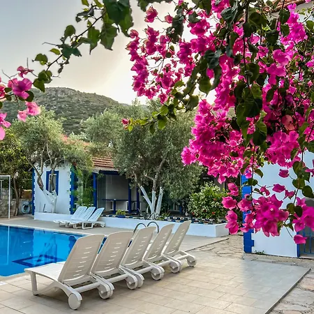 Pineloft Selimiye