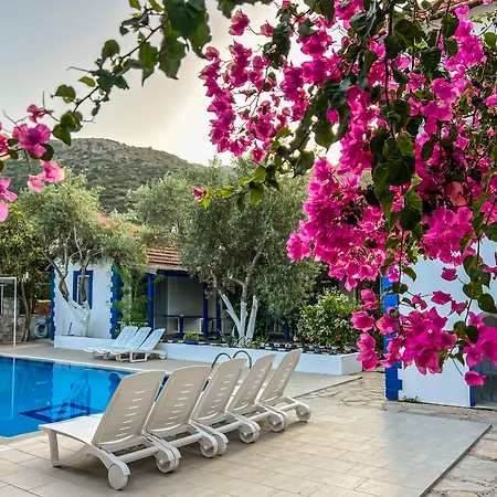 Pineloft Selimiye Hotell *