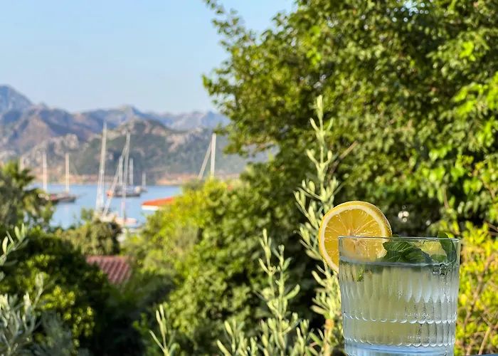 Hotel Pineloft Selimiye Muğla